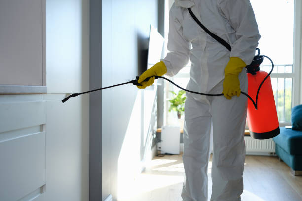 Best Residential Mold Remediation in Belfair, WA