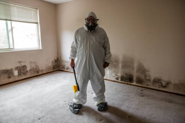 Best DIY Mold Remediation Support Services in Belfair, WA